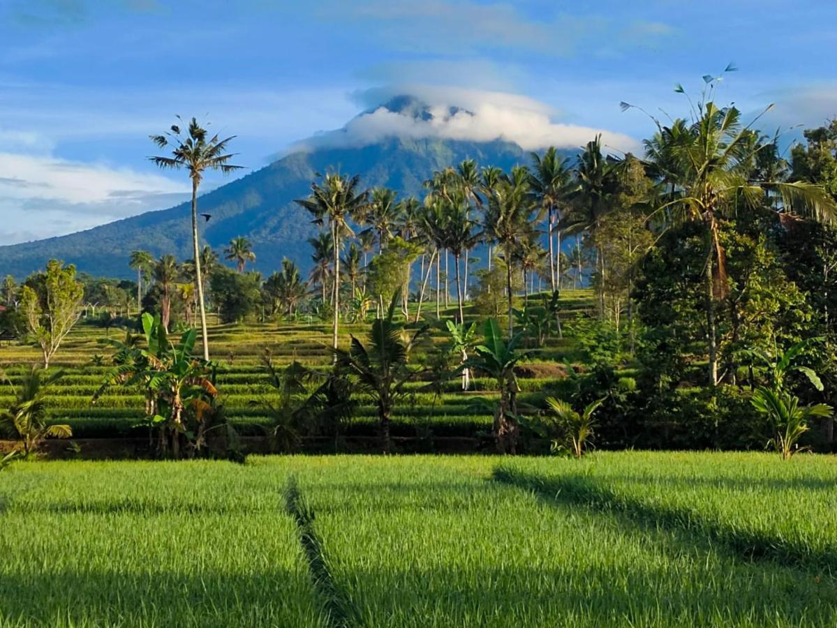 Rumah @ Sawah Ijen Licin Екстериор снимка